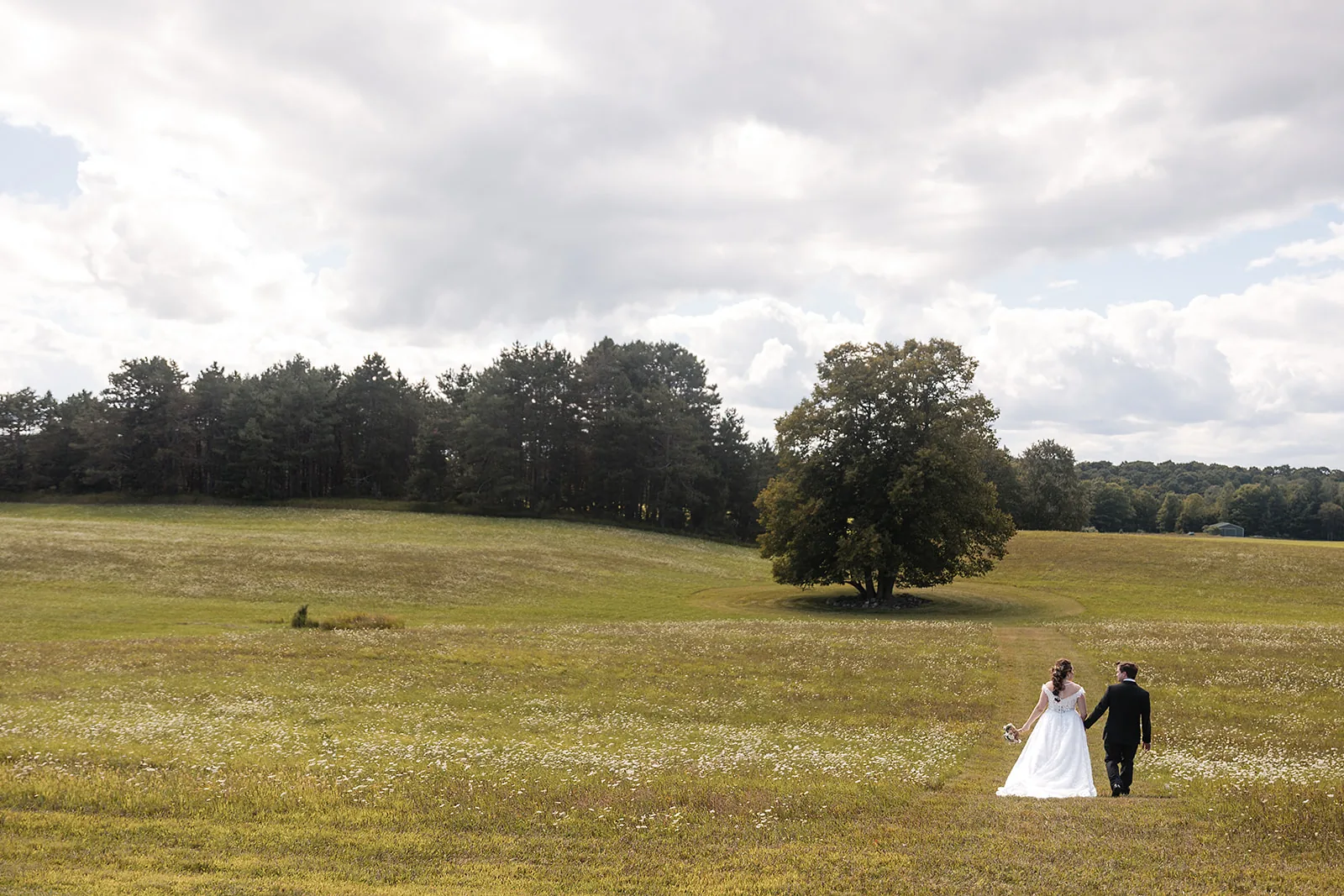 couple embracing, groom kissing bride cheek in golden field
