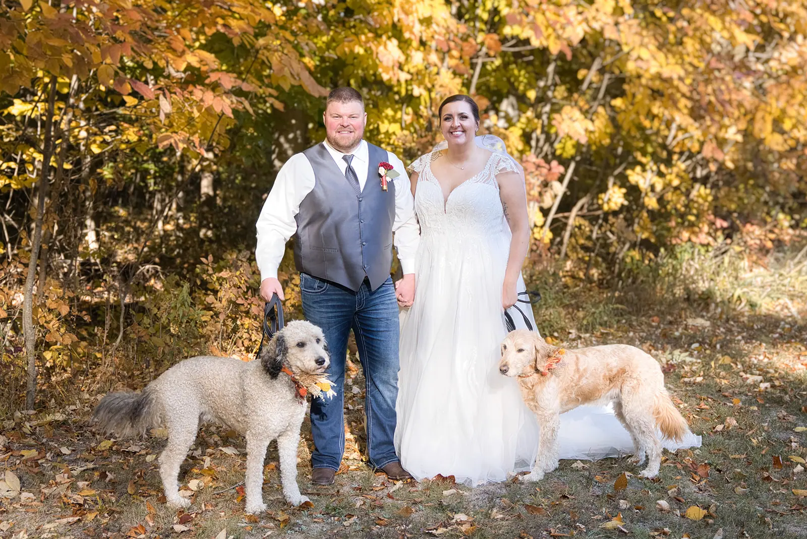 Couple two dogs standing among golden — Chelsea & Jake's wedding at Ogemaw County Fairgrounds, West Branch, MI