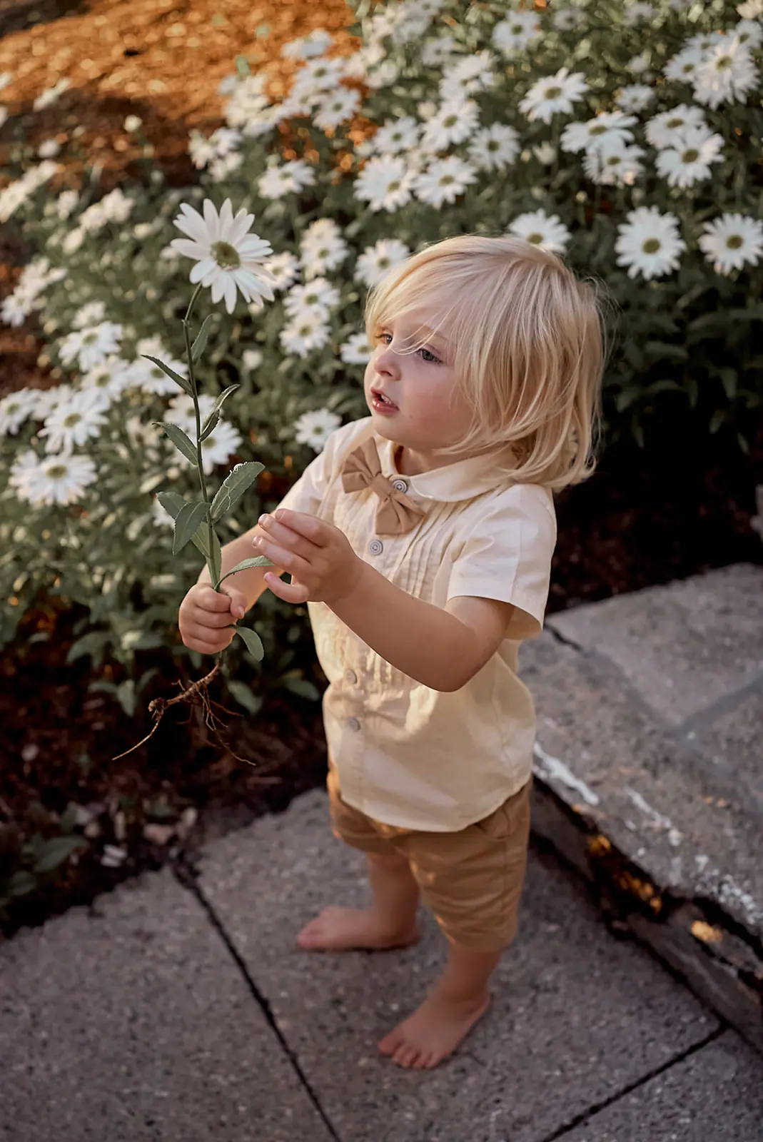 Toddler boy holding flower daisies stone — Erika & Corey's wedding at Sojourn Lakeside Resort, Gaylord, MI