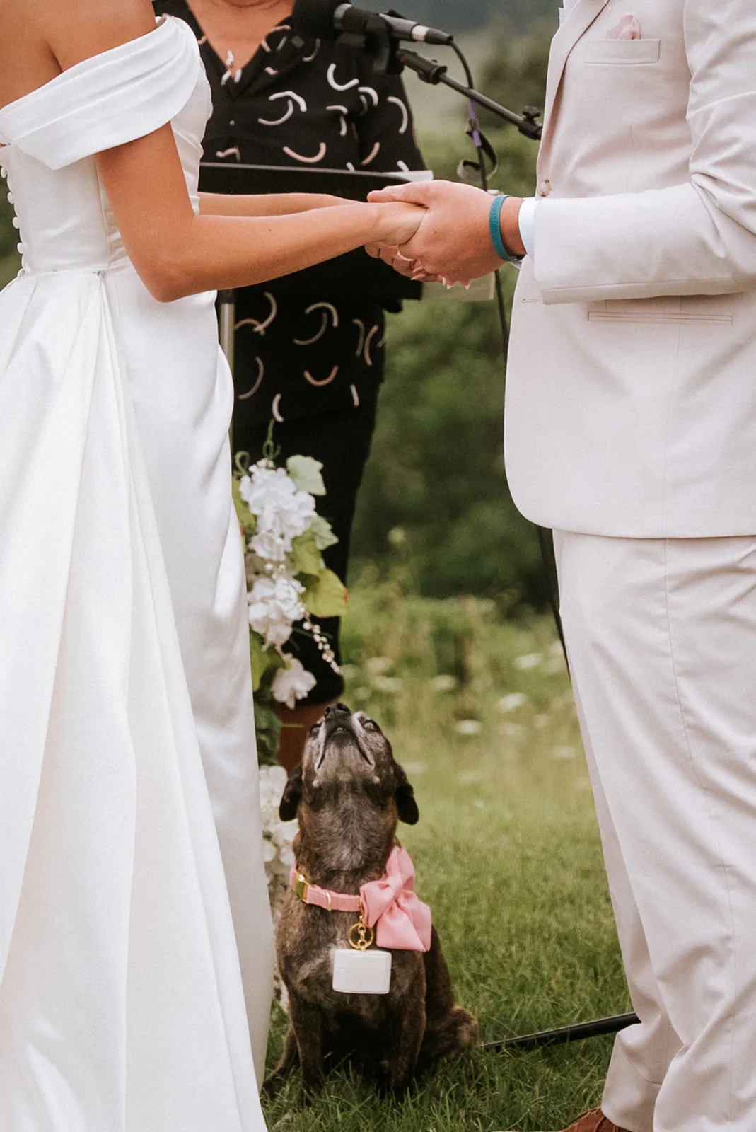 bride and groom holding hands close-up at altar, dog Loui beside them in bow tie