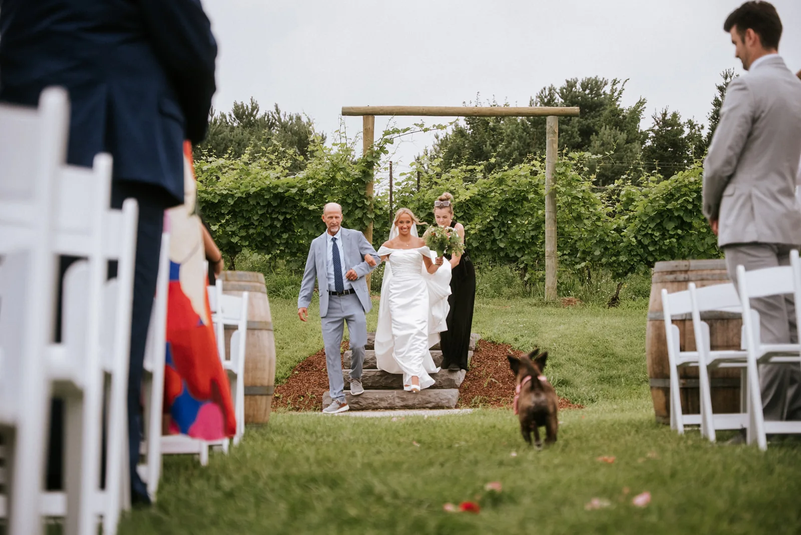 wide shot of vineyard ceremony with officiant, guests seated, dog present