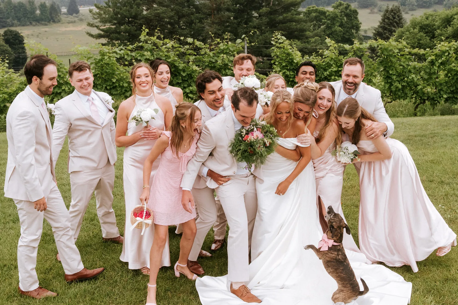 wedding party group portrait in vineyard with mountains, candid poses, dog visible