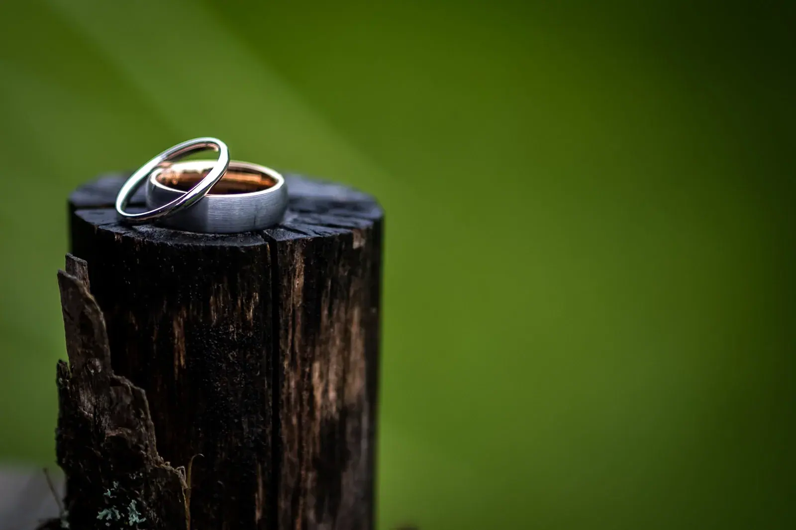 Wedding rings green bokeh — Jessica & Joel's wedding at The Rut Hutt, Gaylord