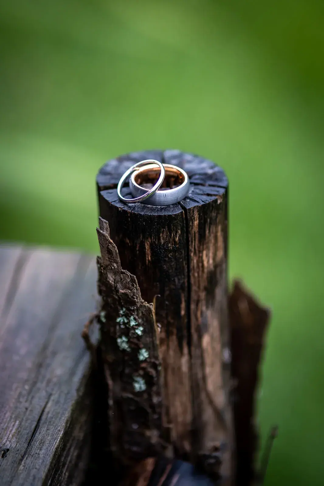 Wedding rings on post vertical — Jessica & Joel's wedding at The Rut Hutt, Gaylord