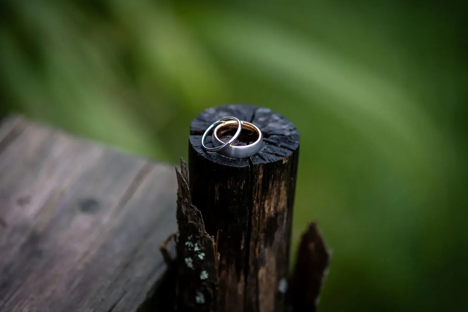 Wedding rings on post — Jessica & Joel's wedding at The Rut Hutt, Gaylord