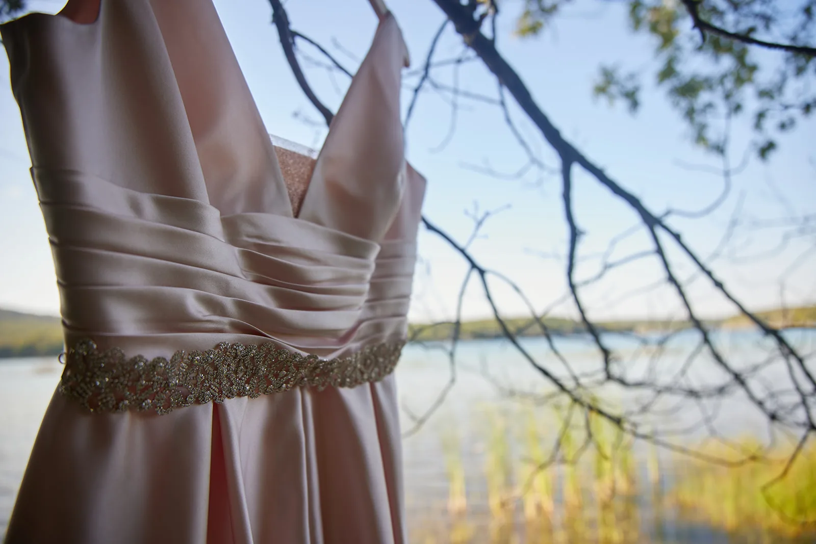bridesmaid dress hanging from tree branch, lake view