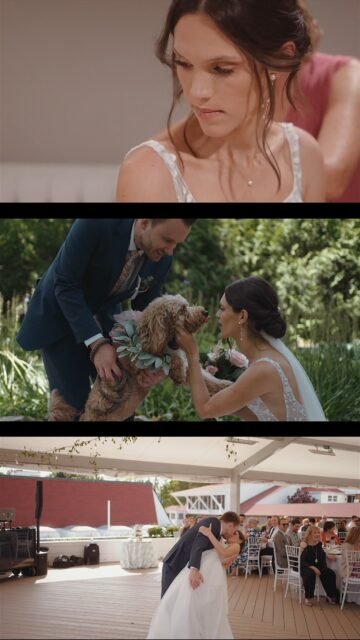 Ben & Allison’s wedding on Mackinac Island was something out of a dream—sunlight on the water, heartfelt vows in the breeze, and moments that made time stand still.

Venue: @missionpointresort 
Photo: @stintography 

📍Mackinac Island, MI

#MackinacIslandWedding #WeddingPotion #NorthernMichiganWeddings #MackinacIslandVideographer #BenAndAllison #WeddingTeaser #WeddingReel #MichiganWeddingVideographer #WeddingInspo #MackinacMagic